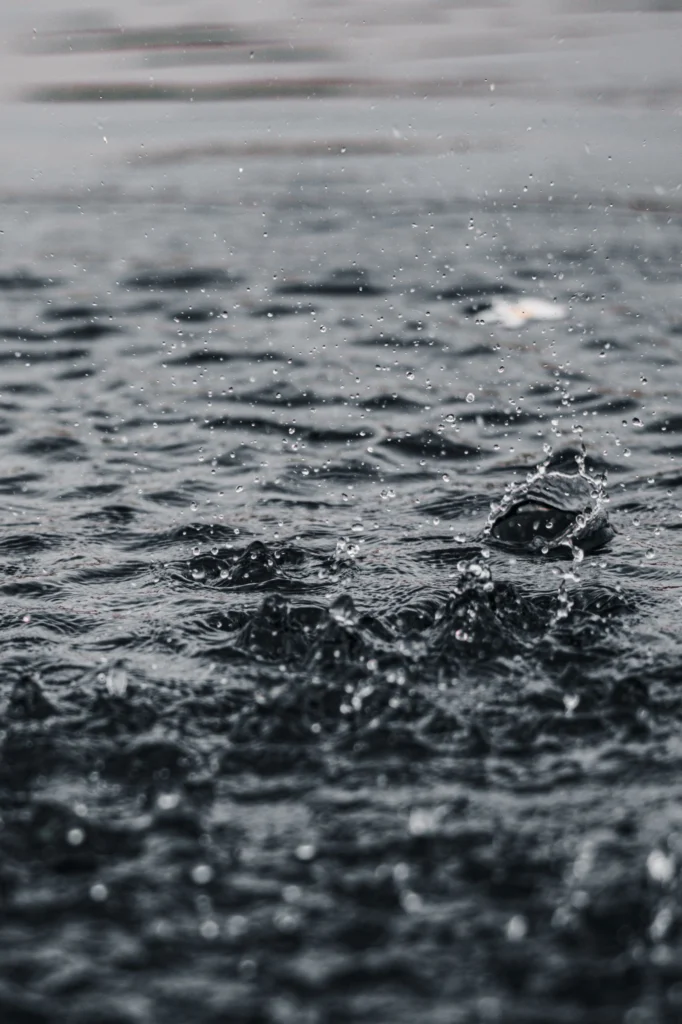 Eau de pluie