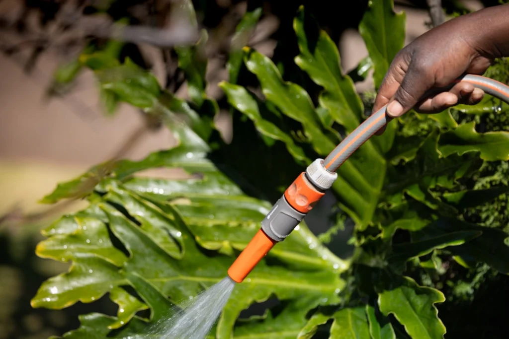 Arrosage du jardin avec l’eau de la citerne