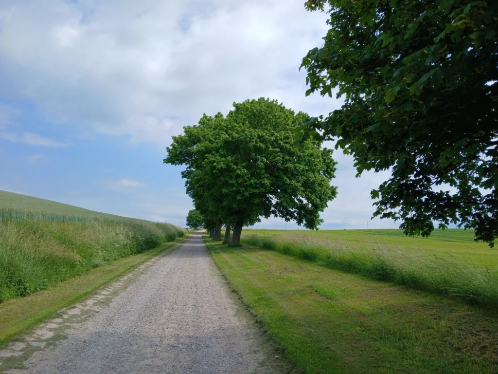 Route en pente douce