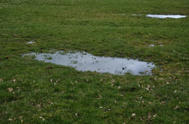 Drainer un jardin humide : causes, diagnostic et solutions