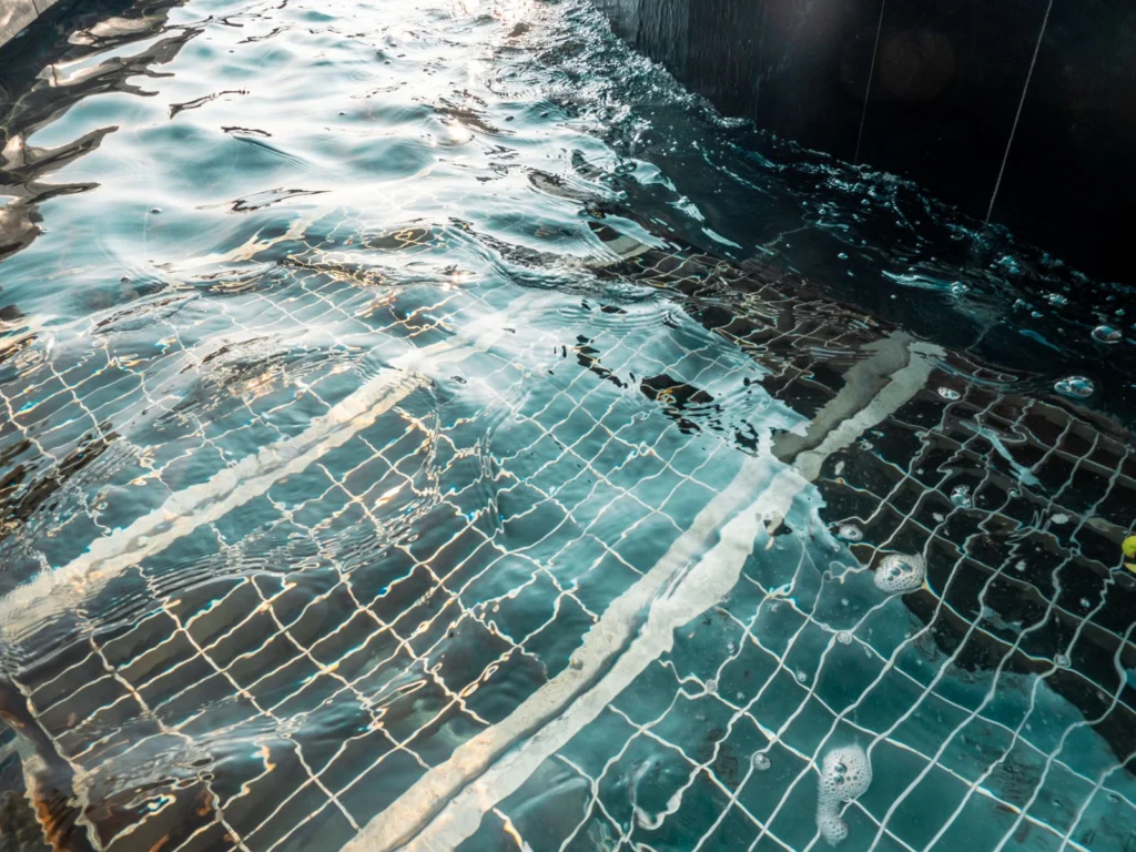Surface d’une piscine bien entretenue