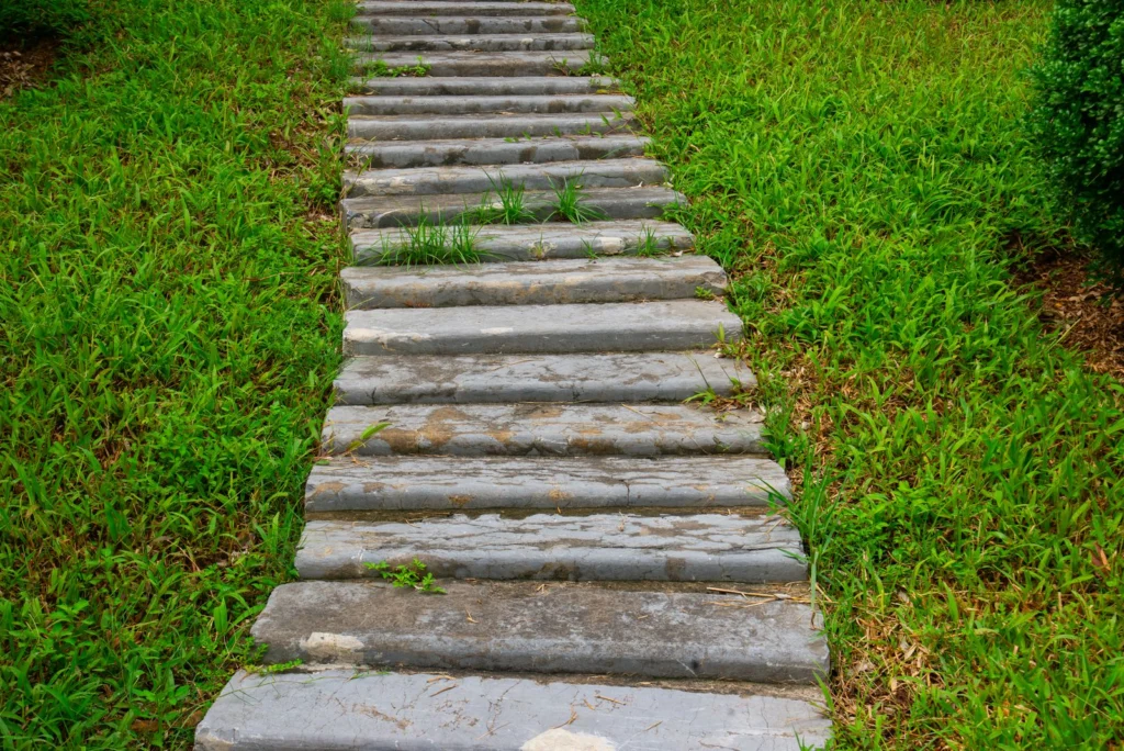 Escalier extérieur en pierre dans un jardin