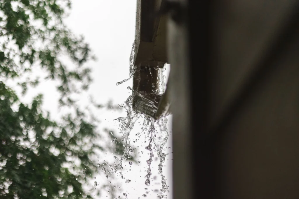 Eau stagnante dans une gouttière bouchée