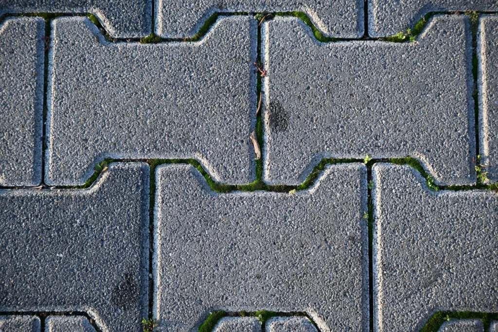 Allée en pavés à joints serrés