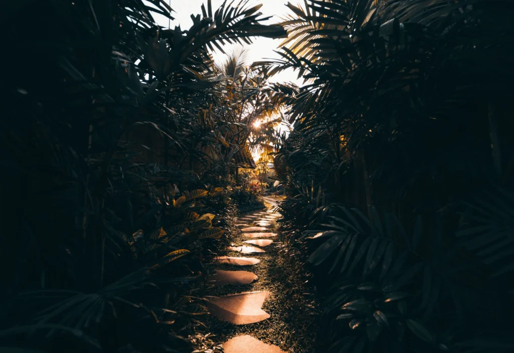 Chemin de jardin accessible et sécurisé
