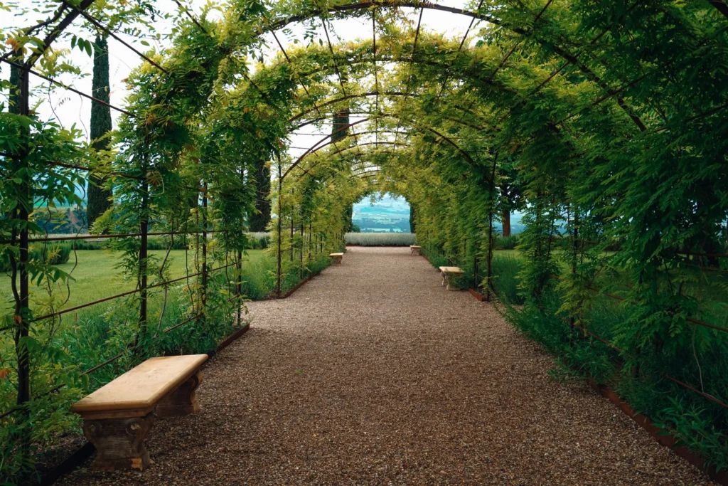 Jardin sans entretien avec allée et vivaces