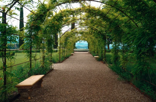Jardin sans entretien : 10 aménagements malins