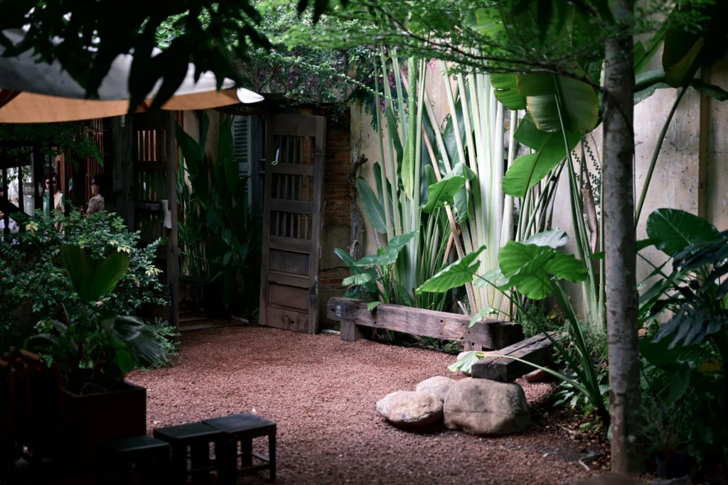 Jardin végétal peu exigeant