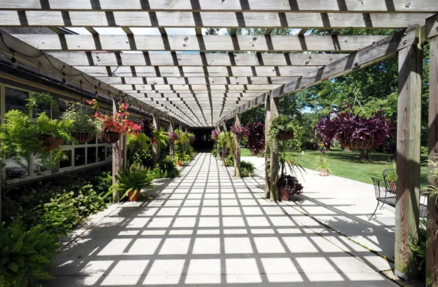 Pergola bioclimatique : fonctionnement, prix et permis