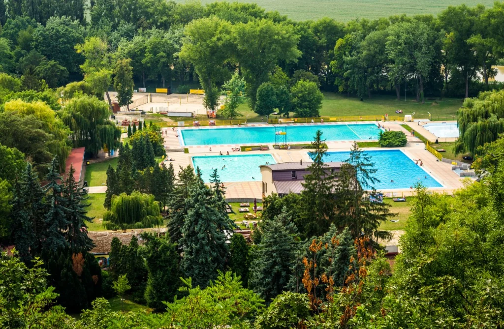 Piscine entourée de verdure