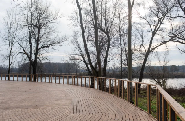 Terrasse en bois ou composite : durabilité, entretien et prix comparés